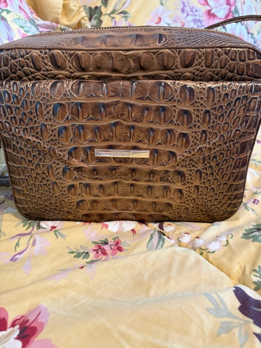 Brown Brahmin Bag with Hints of Burnished Bronze - Picture 3 of 15